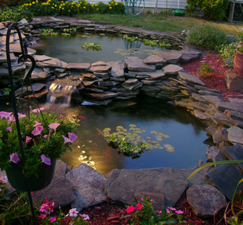 Ponds/Water Gardens/Aquascaping photo 2