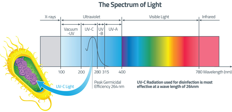 Uv Wavelength Chart