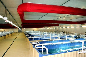 Aquaculture photo 2