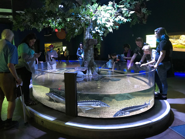 Titan Aquatic Exhibits photo 1